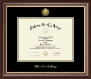 Pikeville College Gold Engraved Medallion Diploma Frame in Hampshire