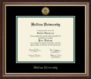 Hollins University diploma frame - Gold Engraved Medallion Diploma Frame in Hampshire