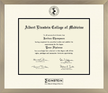 Albert Einstein College of Medicine diploma frame - Icon in Light Champagne
