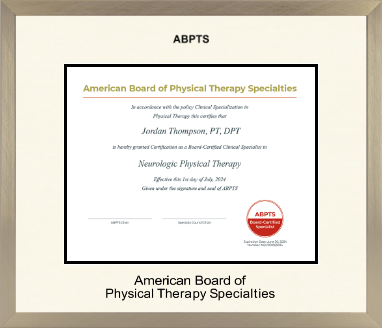 American Board of Physical Therapy Specialties diploma frame - Icon in Light Champagne