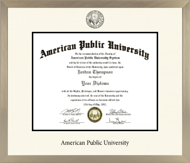 American Public University diploma frame - Icon in Light Champagne