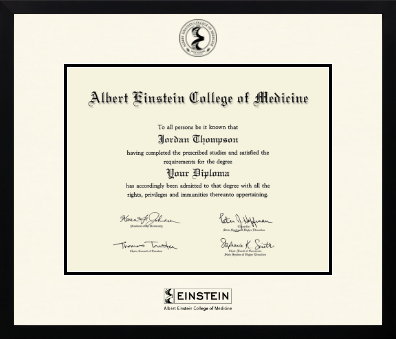 Albert Einstein College of Medicine diploma frame - Icon in Gotham