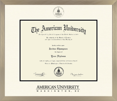 American University diploma frame - Icon in Light Champagne
