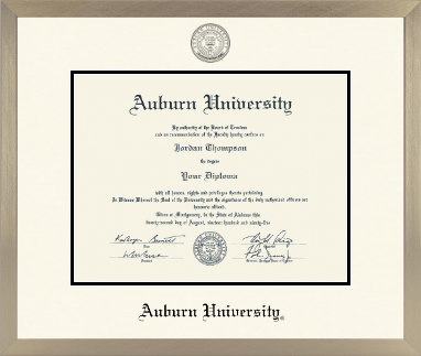 Auburn University diploma frame - Icon in Light Champagne
