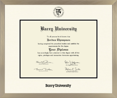 Barry University diploma frame - Icon in Light Champagne