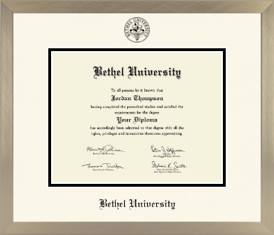 Bethel Minnesota diploma frame - Icon in Light Champagne