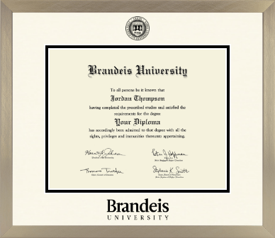 Brandeis University diploma frame - Icon in Light Champagne