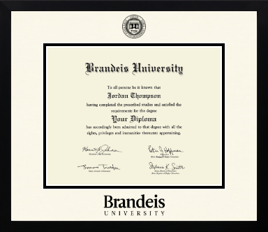 Brandeis University diploma frame - Icon in Gotham