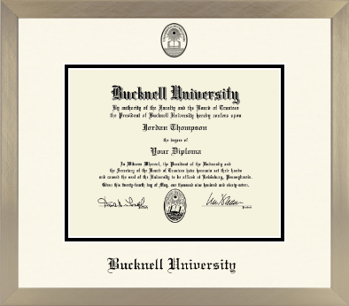 Bucknell University diploma frame - Icon in Light Champagne