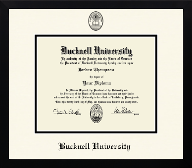 Bucknell University diploma frame - Icon in Gotham