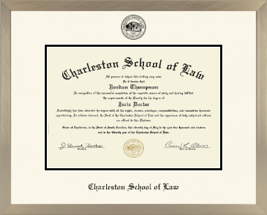 Charleston School of Law diploma frame - Icon in Light Champagne