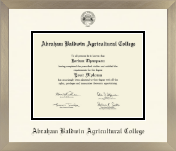 Abraham Baldwin Agricultural College diploma frame - Icon in Light Champagne