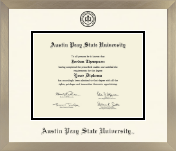 Austin Peay State University diploma frame - Icon in Light Champagne