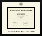 Abraham Baldwin Agricultural College diploma frame - Icon in Gotham