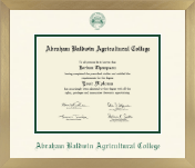 Abraham Baldwin Agricultural College diploma frame - Icon in Chardonnay