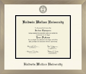 Baldwin Wallace University diploma frame - Icon in Light Champagne