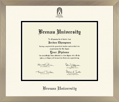 Brenau University diploma frame - Icon in Light Champagne