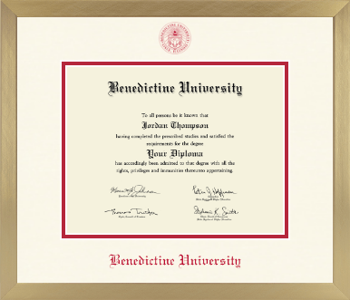 Benedictine University diploma frame - Icon in Chardonnay