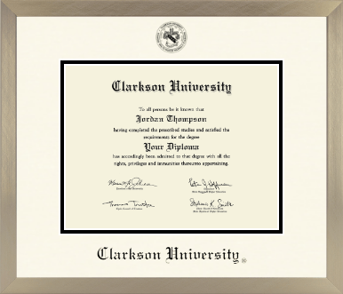 Clarkson University diploma frame - Icon in Light Champagne