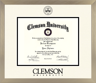 Clemson University diploma frame - Icon in Light Champagne