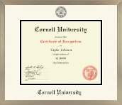 Cornell University diploma frame - Icon in Light Champagne