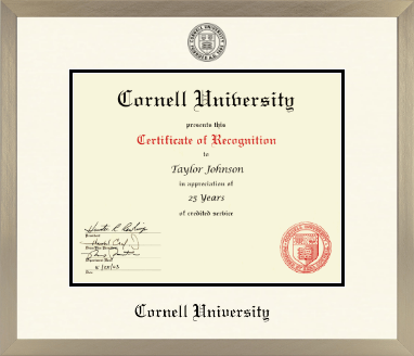 Cornell University diploma frame - Icon in Light Champagne