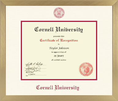 Cornell University diploma frame - Icon in Chardonnay