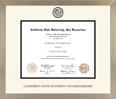 California State University San Bernardino diploma frame - Icon in Light Champagne