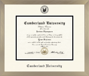 Cumberland University diploma frame - Icon in Light Champagne