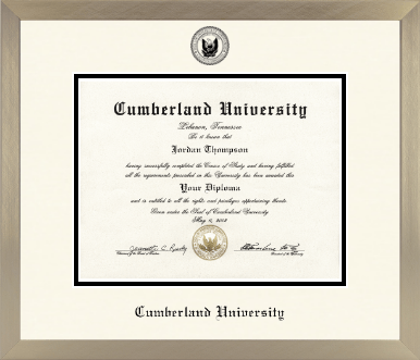 Cumberland University diploma frame - Icon in Light Champagne