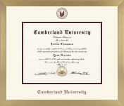 Cumberland University diploma frame - Icon in Chardonnay