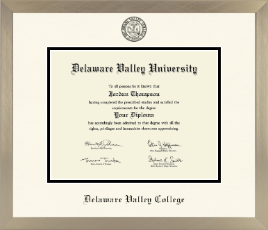 Delaware Valley University diploma frame - Icon in Light Champagne