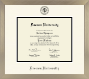 Daemen University diploma frame - Icon in Light Champagne