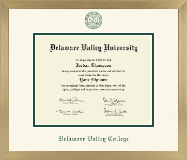 Delaware Valley University diploma frame - Icon in Chardonnay