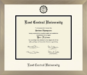 East Central University diploma frame - Icon in Light Champagne