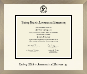 Embry-Riddle Aeronautical University diploma frame - Icon in Light Champagne