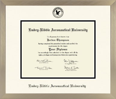 Embry-Riddle Aeronautical University diploma frame - Icon in Light Champagne