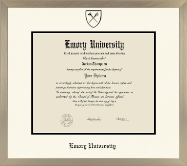 Emory University diploma frame - Icon in Light Champagne