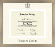 Emerson College diploma frame - Icon in Light Champagne
