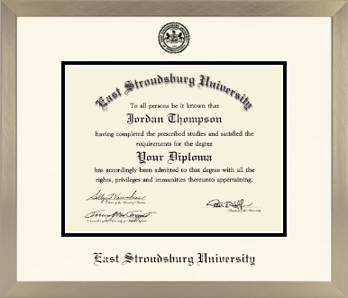 East Stroudsburg University diploma frame - Icon in Light Champagne