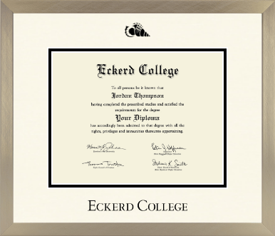 Eckerd College diploma frame - Icon in Light Champagne