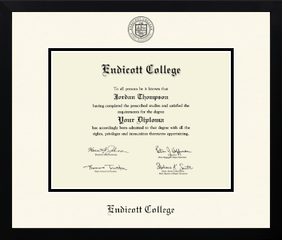 Endicott College diploma frame - Icon in Gotham