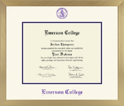 Emerson College diploma frame - Icon in Chardonnay