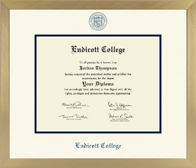 Endicott College diploma frame - Icon in Chardonnay
