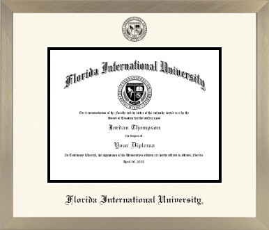 Florida International University diploma frame - Icon in Light Champagne