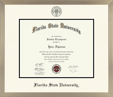Florida State University diploma frame - Icon in Light Champagne