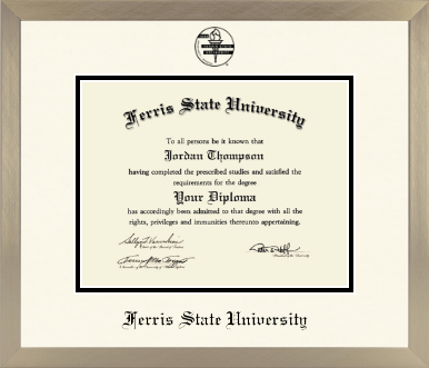 Ferris State University diploma frame - Icon in Light Champagne