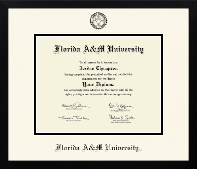 Florida A&M University diploma frame - Icon in Gotham