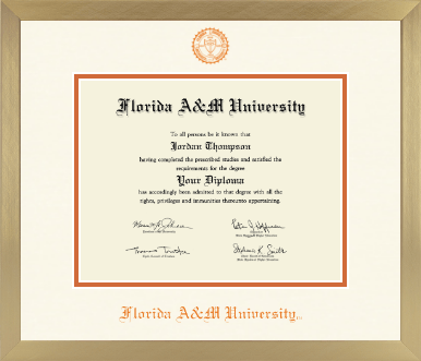 Florida A&M University diploma frame - Icon in Chardonnay