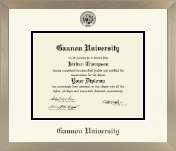 Gannon University diploma frame - Icon in Light Champagne